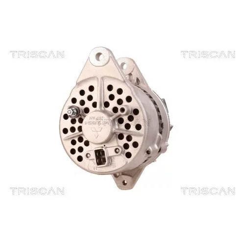 Alternátor 8310 10035 /TRISCAN/ - obr. 4