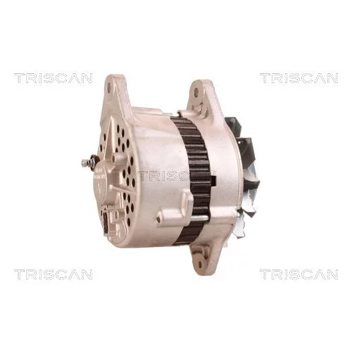 Alternátor 8310 10035 /TRISCAN/ - obr. 5