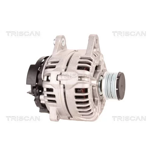 Alternátor 8310 10040 /TRISCAN/ - obr. 3