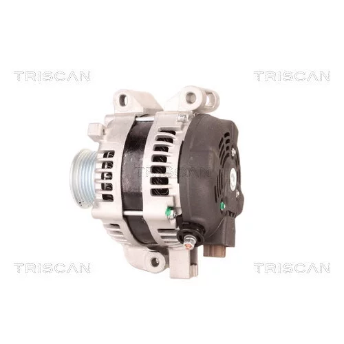 Alternátor 8310 10049 /TRISCAN/ - obr. 7
