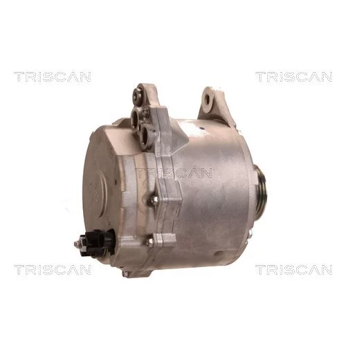 Alternátor 8310 10050 /TRISCAN/ - obr. 2