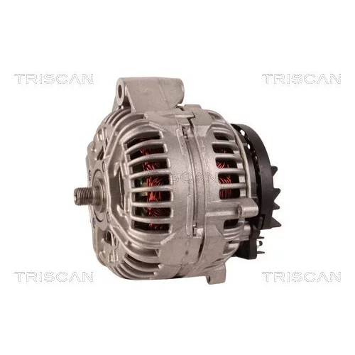 Alternátor 8310 10067 /TRISCAN/ - obr. 6