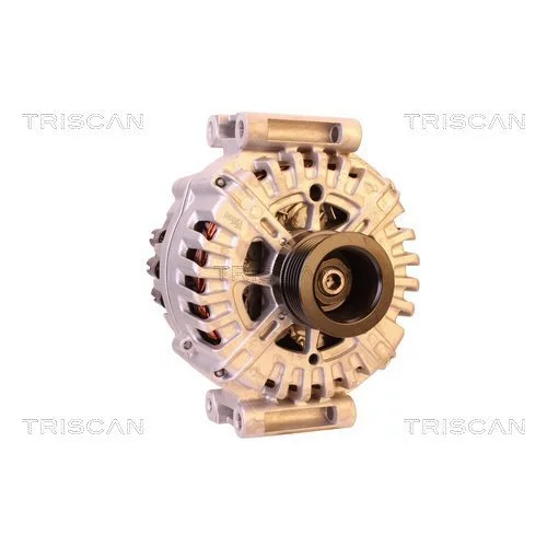 Alternátor 8310 10068 /TRISCAN/ - obr. 4