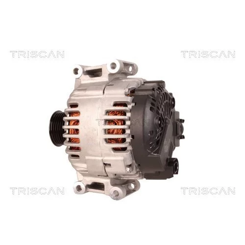 Alternátor 8310 10112 /TRISCAN/ - obr. 7