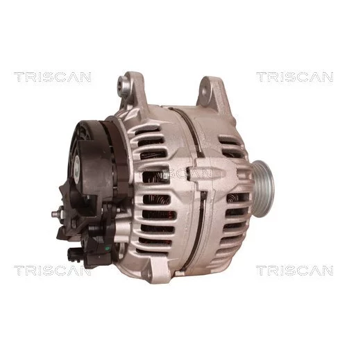 Alternátor 8310 10123 /TRISCAN/ - obr. 2