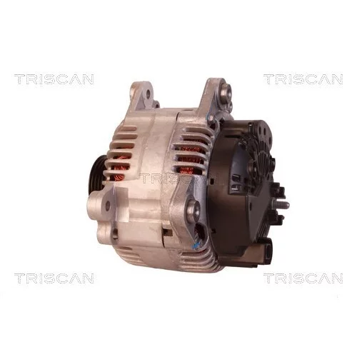 Alternátor 8310 10123 /TRISCAN/ - obr. 7