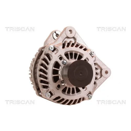 Alternátor 8310 10150 /TRISCAN/ - obr. 4