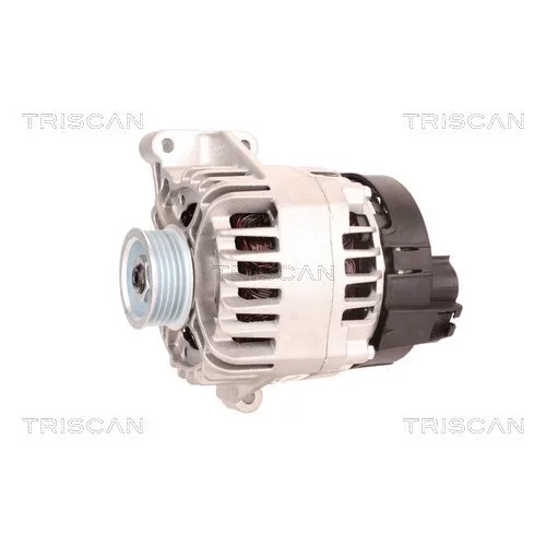 Alternátor 8310 13037 /TRISCAN/ - obr. 6