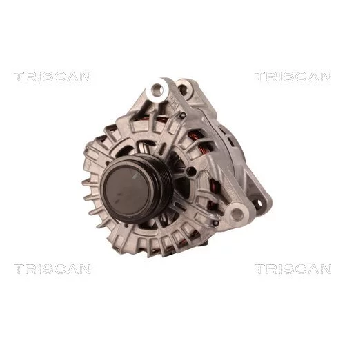 Alternátor 8310 13056 /TRISCAN/ - obr. 5