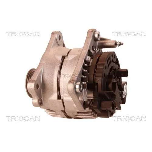Alternátor 8310 13057 /TRISCAN/ - obr. 7