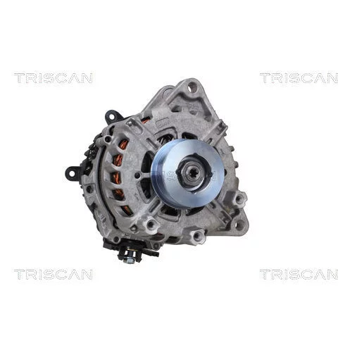 Alternátor 8310 13063 /TRISCAN/ - obr. 7