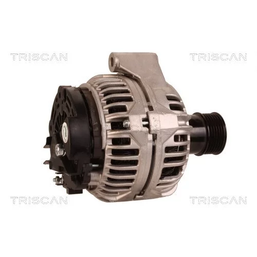 Alternátor 8310 14013 /TRISCAN/ - obr. 2