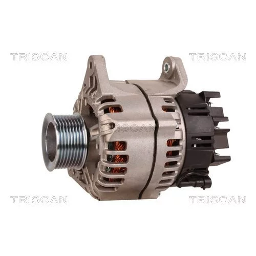 Alternátor 8310 15011 /TRISCAN/ - obr. 6
