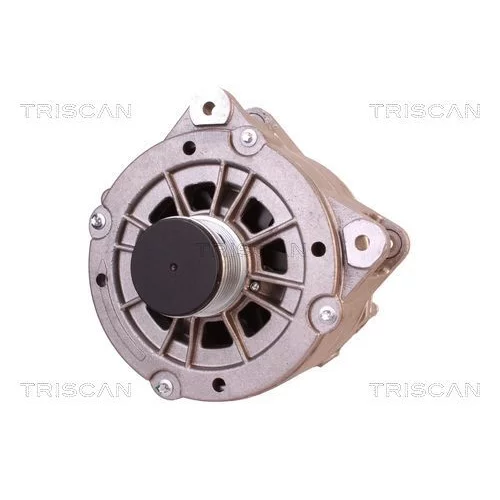 Alternátor 8310 16028 /TRISCAN/ - obr. 5