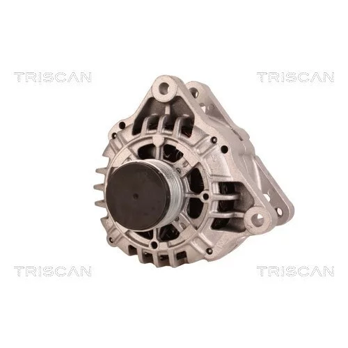 Alternátor 8310 16029 /TRISCAN/ - obr. 5