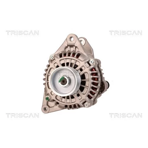 Alternátor 8310 23053 /TRISCAN/ - obr. 5
