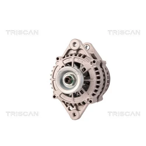 Alternátor 8310 24017 /TRISCAN/ - obr. 5