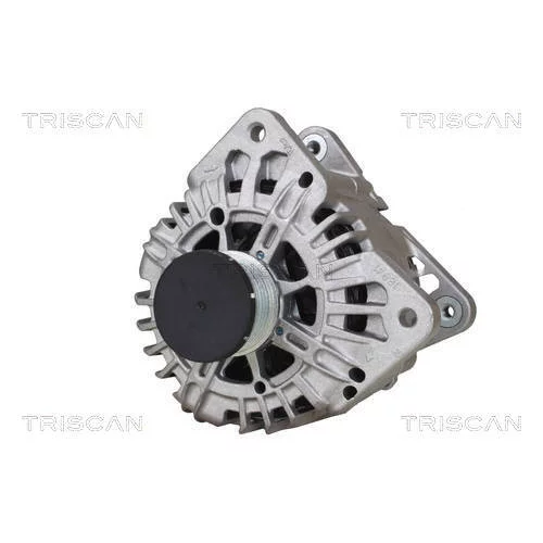 Alternátor 8310 24025 /TRISCAN/ - obr. 5