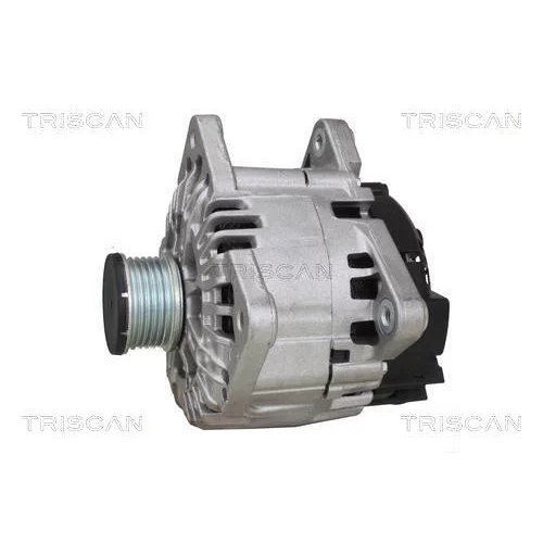 Alternátor 8310 24025 /TRISCAN/ - obr. 6