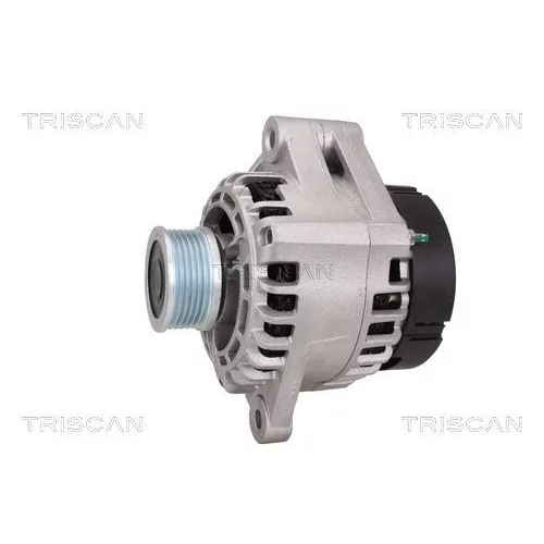 Alternátor 8310 25004 /TRISCAN/ - obr. 6