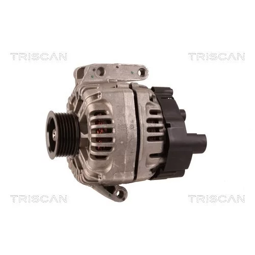 Alternátor 8310 25018 /TRISCAN/ - obr. 6
