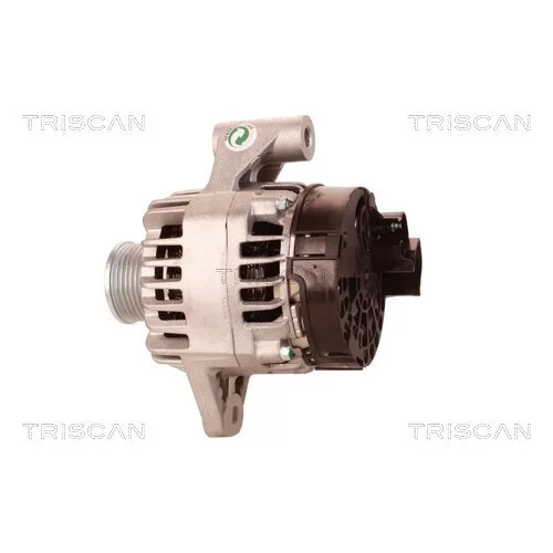 Alternátor 8310 25031 /TRISCAN/ - obr. 7