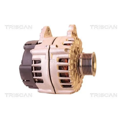 Alternátor 8310 25032 /TRISCAN/ - obr. 3