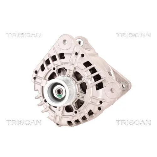 Alternátor 8310 28003 /TRISCAN/ - obr. 5