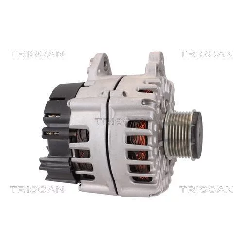 Alternátor 8310 29025 /TRISCAN/ - obr. 3