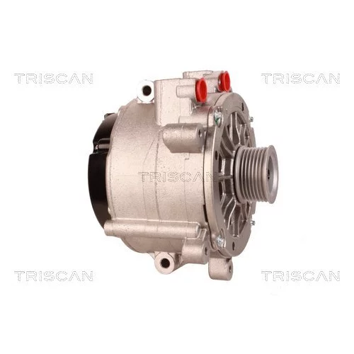 Alternátor 8310 29028 /TRISCAN/ - obr. 3