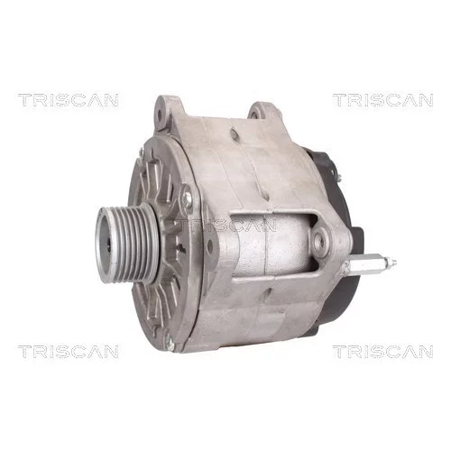 Alternátor 8310 29028 /TRISCAN/ - obr. 6