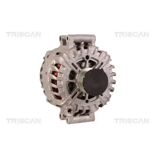 Alternátor 8310 29030 /TRISCAN/ - obr. 4