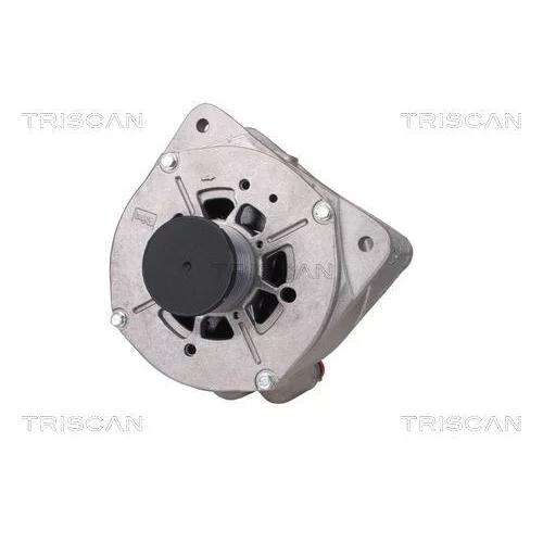 Alternátor 8310 29052 /TRISCAN/ - obr. 5