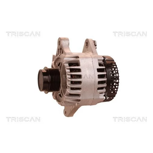 Alternátor 8310 29074 /TRISCAN/ - obr. 6