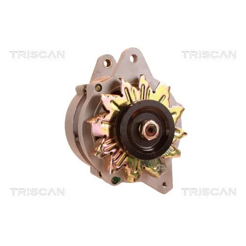 Alternátor 8310 29077 /TRISCAN/ - obr. 7