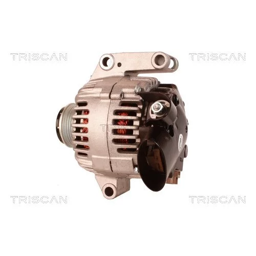 Alternátor 8310 29078 /TRISCAN/ - obr. 7