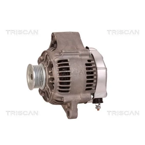 Alternátor 8310 29096 /TRISCAN/ - obr. 6