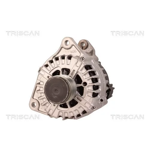 Alternátor 8310 29103 /TRISCAN/ - obr. 5