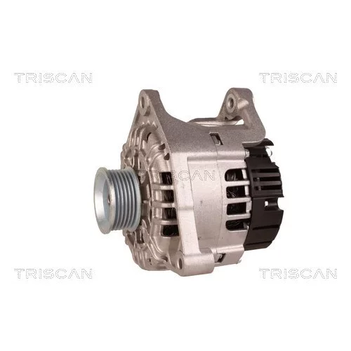 Alternátor 8310 68007 /TRISCAN/ - obr. 6