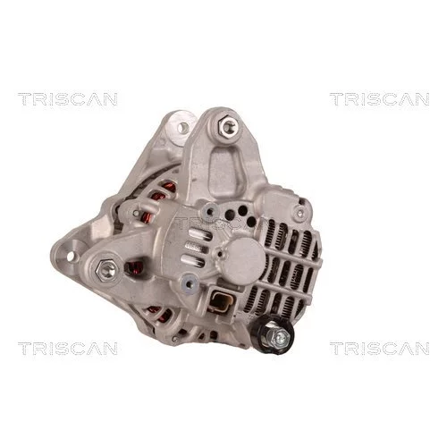 Alternátor TRISCAN 8310 69017
