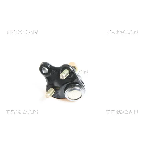 Zvislý/nosný čap 8500 13538 /TRISCAN/ - obr. 1
