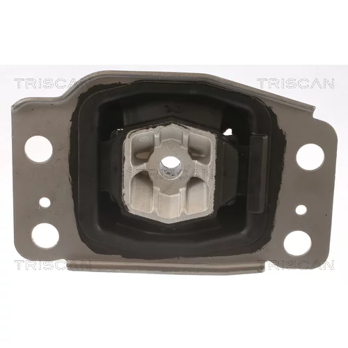 Uloženie motora 8505 10137 /TRISCAN/ - obr. 1