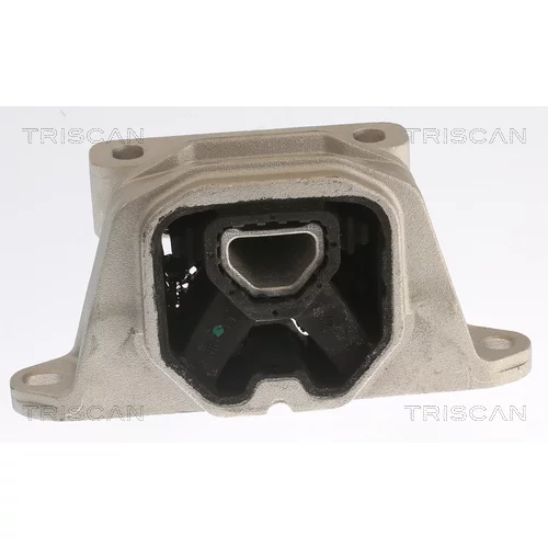 Uloženie motora TRISCAN 8505 29184