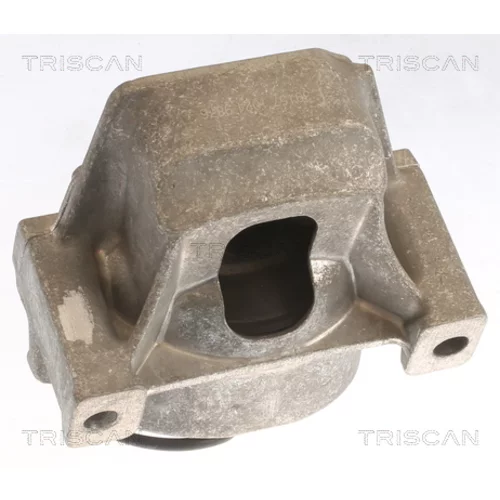 Uloženie motora TRISCAN 8505 29196