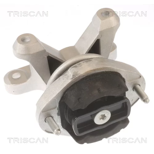 Uloženie automatickej prevodovky 8505 29202 /TRISCAN/