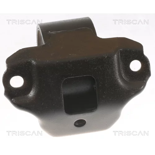 Uloženie motora 8505 43106 /TRISCAN/ - obr. 1
