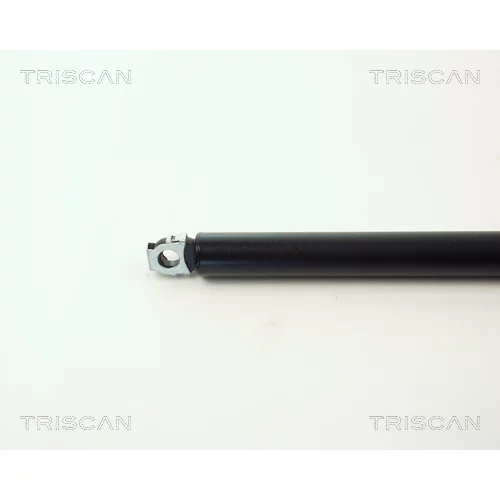Pneumatická pružina, Batožinový/nákladný priestor 8710 11202 /TRISCAN/ - obr. 1