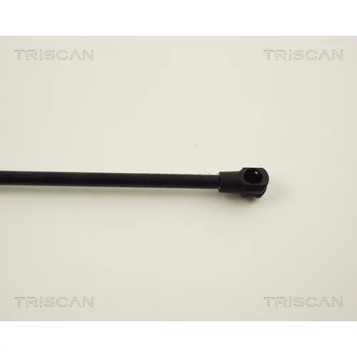 Pneumatická pružina, Batožinový/nákladný priestor 8710 13256 /TRISCAN/ - obr. 2