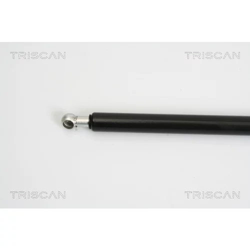 Pneumatická pružina, Batožinový/nákladný priestor 8710 16246 /TRISCAN/ - obr. 1