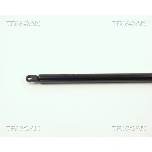Pneumatická pružina, Batožinový/nákladný priestor 8710 3801 /TRISCAN/ - obr. 1